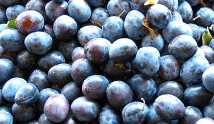 Prunes